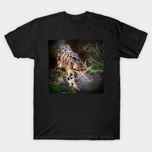 Asian Clouded Leopard T-Shirt